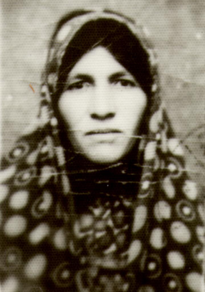 فاقد تصویر